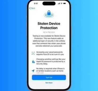 齐齐哈尔苹果授权维修店分享被盗设备保护功能开启方法 