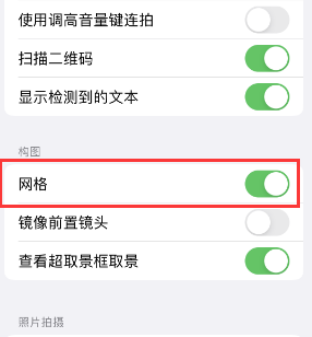 齐齐哈尔苹果手机维修网点分享iPhone如何开启九宫格构图功能