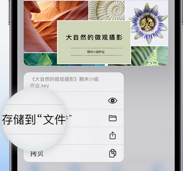 齐齐哈尔apple维修中心分享iPhone文件应用中存储和找到下载文件