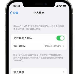 齐齐哈尔apple服务站点分享iPhone上个人热点丢失了怎么办 