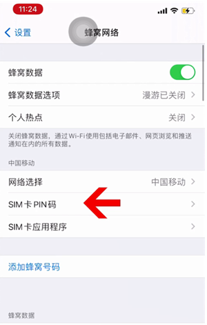 齐齐哈尔苹果14维修网分享如何给iPhone14的SIM卡设置密码 