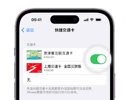 齐齐哈尔apple维修点分享iPhone上更换Apple Pay快捷交通卡手绘卡面 