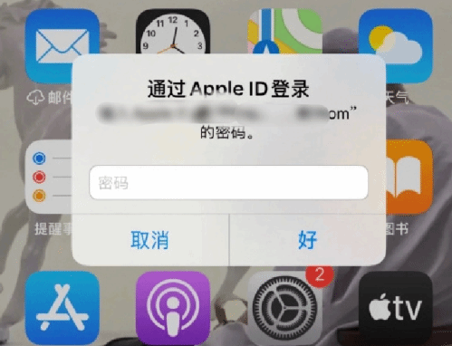 齐齐哈尔苹果设备维修分享无故多次要求输入AppleID密码怎么办 