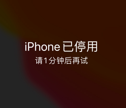 齐齐哈尔苹果手机维修分享:iPhone 显示“不可用”或“已停用”怎么办？还能保留数据吗？ 