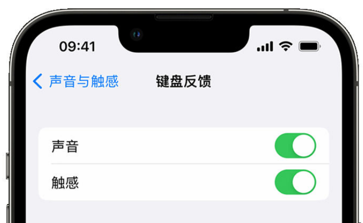 齐齐哈尔苹果手机维修分享iPhone 14触感键盘使用方法 