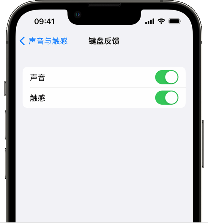 齐齐哈尔苹果14维修店分享如何在 iPhone 14 机型中使用触感键盘 