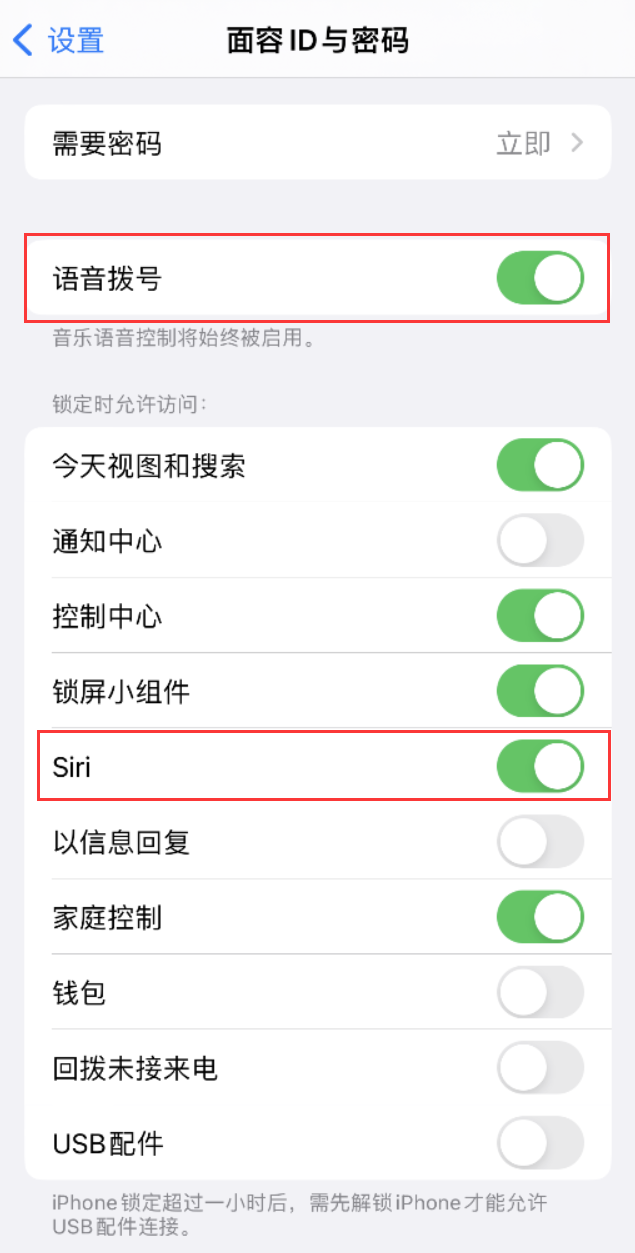 齐齐哈尔苹果维修网点分享不解锁 iPhone 的情况下通过 Siri 拨打电话的方法 