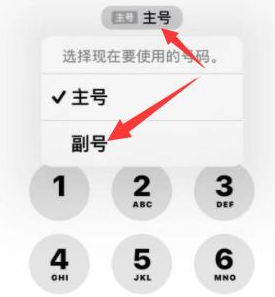 齐齐哈尔苹果14维修店分享iPhone 14 Pro Max使用副卡打电话的方法 