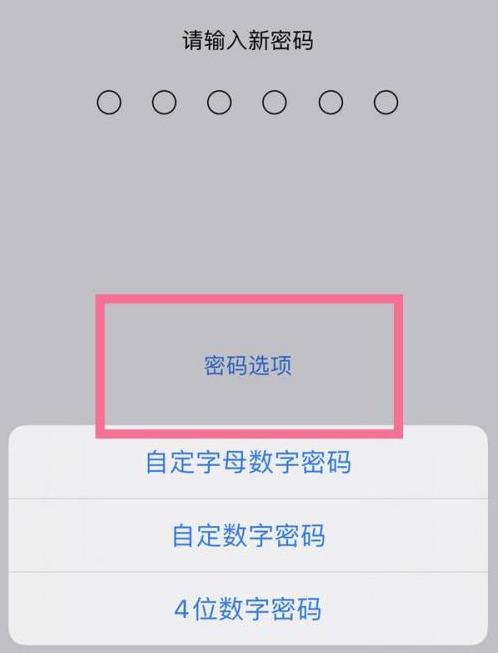 齐齐哈尔苹果14维修分享iPhone 14plus设置密码的方法 