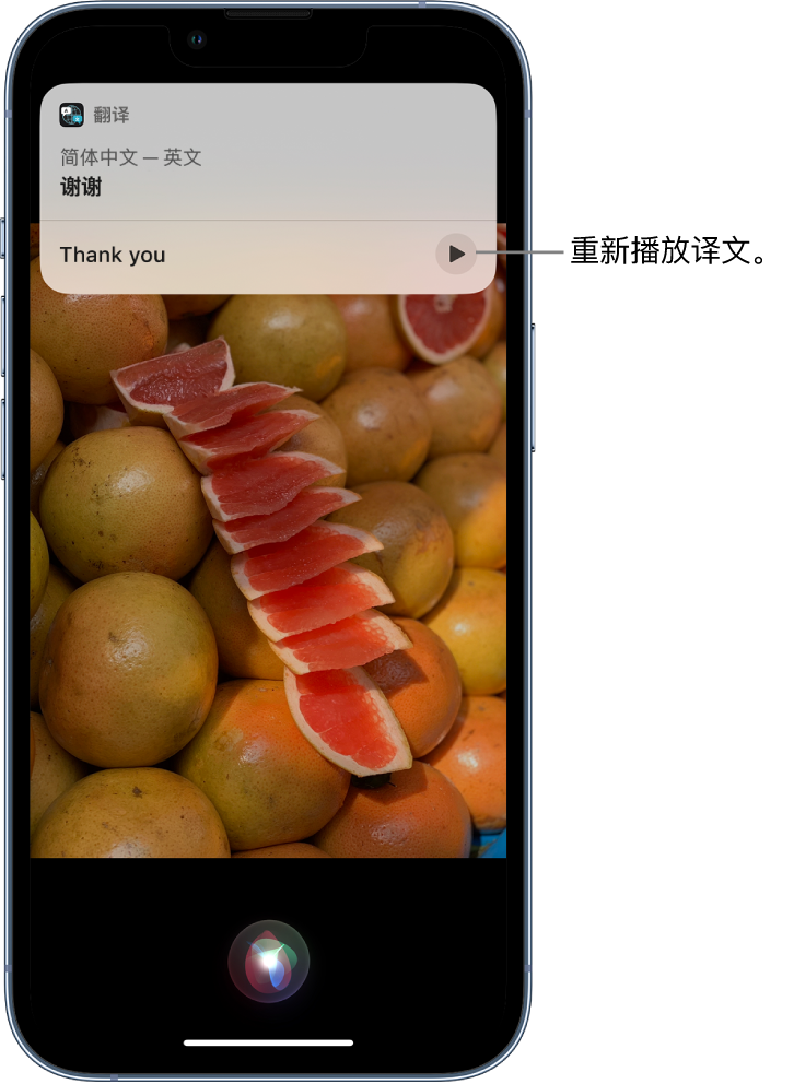 齐齐哈尔苹果14维修分享 iPhone 14 机型中使用 Siri：了解 Siri 能帮你做什么 