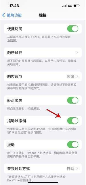 齐齐哈尔苹果手机维修分享iPhone手机如何设置摇一摇删除文字 