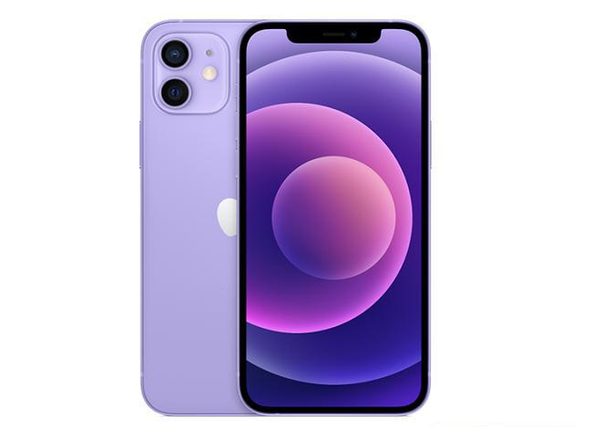 齐齐哈尔苹果手机维修分享现阶段要不要入手紫色版iPhone12 
